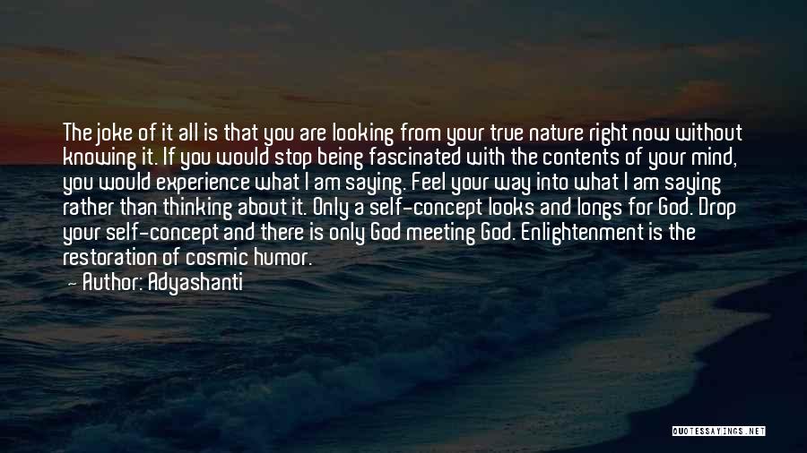 Being Your True Self Quotes By Adyashanti