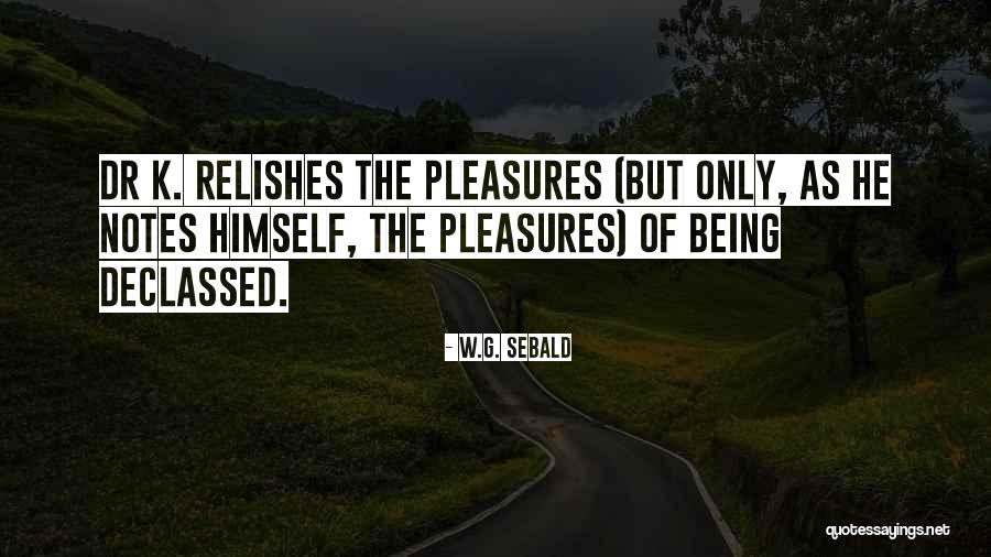 Being Yourself And Doing What You Want Quotes By W.G. Sebald