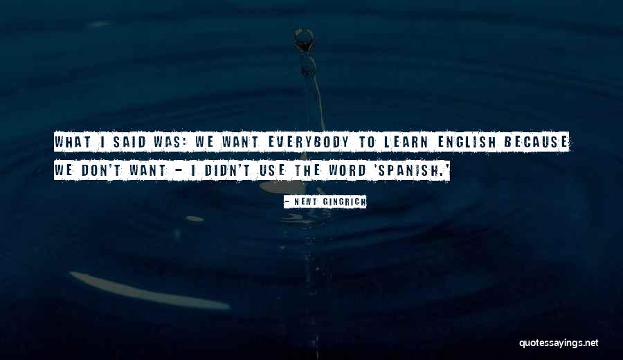 Beingsattvaa Quotes By Newt Gingrich Beingsattvaa Quotes By Newt Gingrich