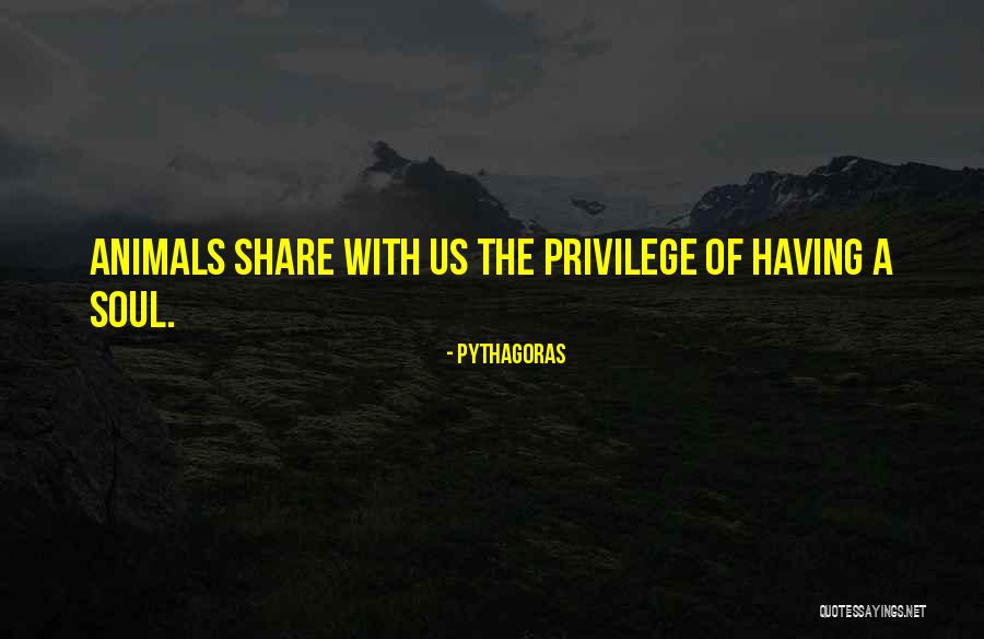 Beirutis Quotes By Pythagoras Beirutis Quotes By Pythagoras