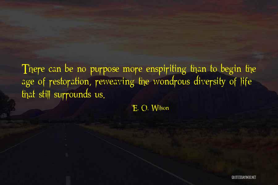 Beistelltisch Mit Quotes By E. O. Wilson Beistelltisch Mit Quotes By E. O. Wilson