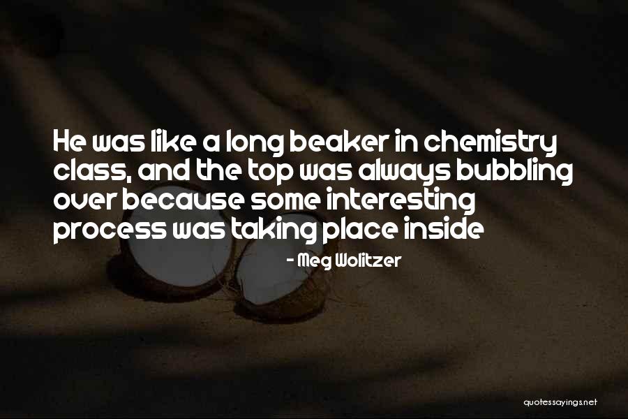 Bekal Islam Quotes By Meg Wolitzer Bekal Islam Quotes By Meg Wolitzer