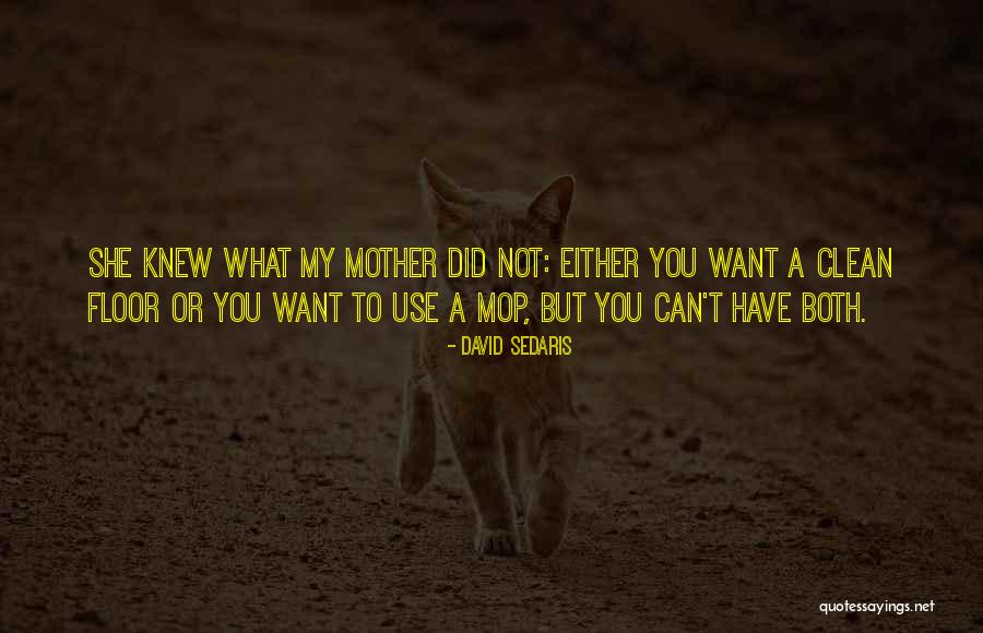 Bekament Quotes By David Sedaris Bekament Quotes By David Sedaris