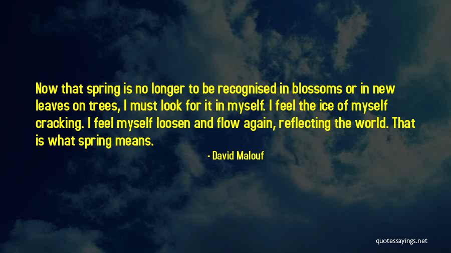 Bekenstein Limit Quotes By David Malouf Bekenstein Limit Quotes By David Malouf