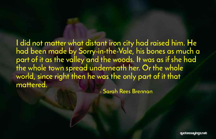 Bekiroglu Quotes By Sarah Rees Brennan Bekiroglu Quotes By Sarah Rees Brennan