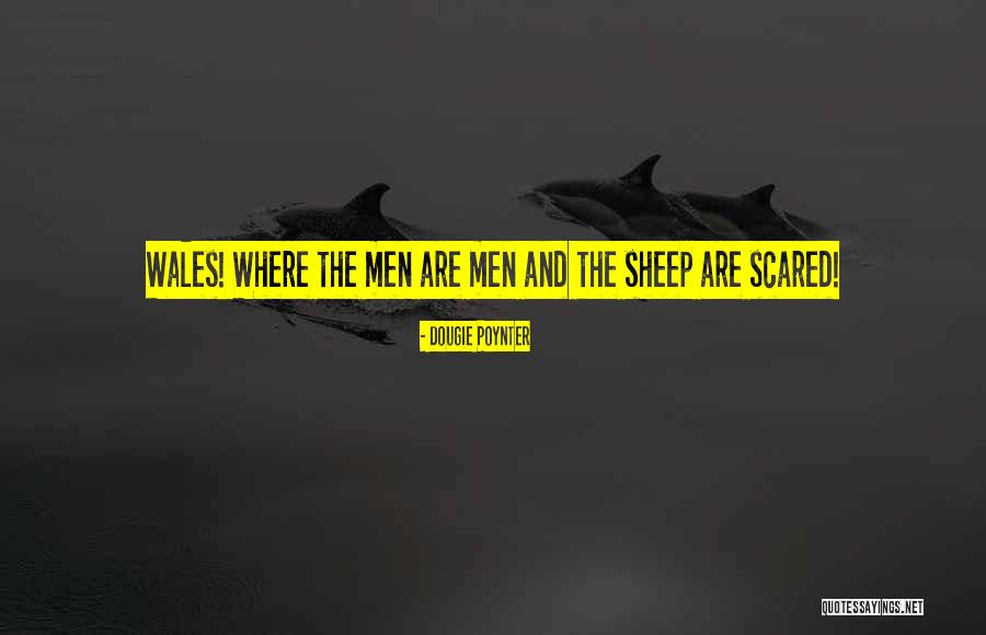 Bekkouche Tewfik Quotes By Dougie Poynter Bekkouche Tewfik Quotes By Dougie Poynter