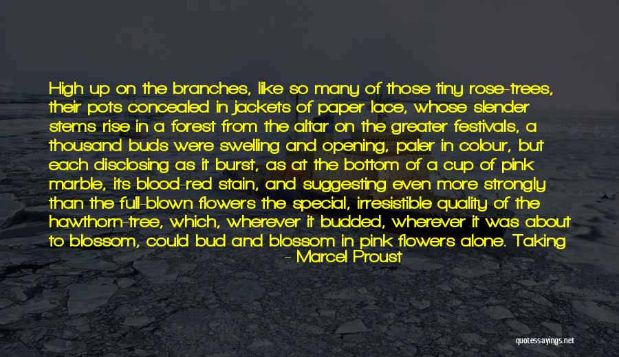 Beklemek Sozler Quotes By Marcel Proust Beklemek Sozler Quotes By Marcel Proust