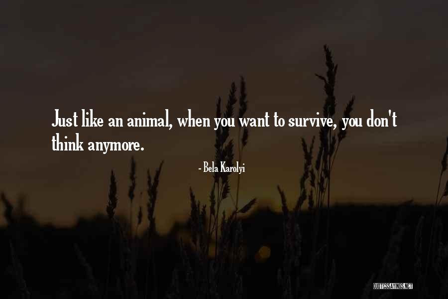 Bela Quotes By Bela Karolyi Bela Quotes By Bela Karolyi