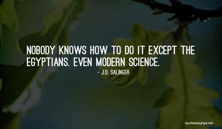 Belaboring In A Sentence Quotes By J.D. Salinger Belaboring In A Sentence Quotes By J.D. Salinger