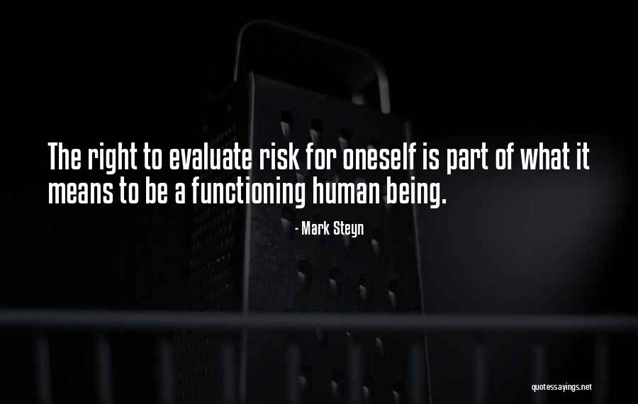 Belaboring The Obvious Quotes By Mark Steyn Belaboring The Obvious Quotes By Mark Steyn