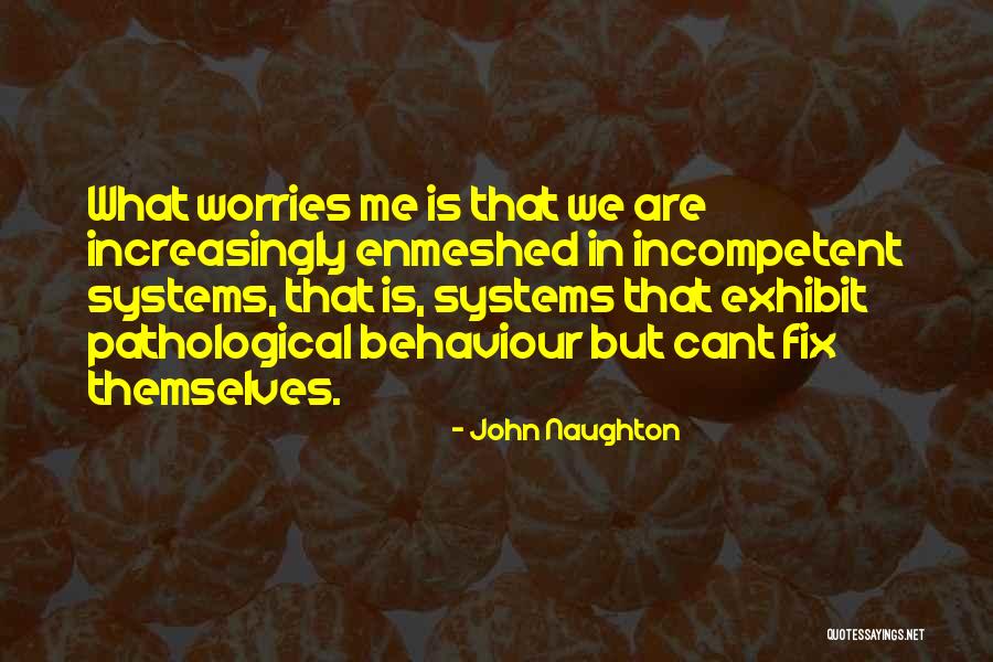 Belachew Moges Quotes By John Naughton