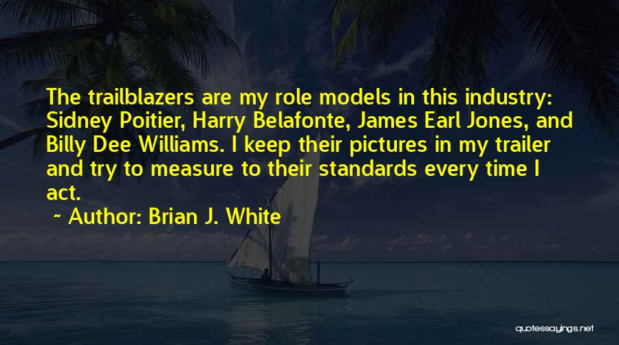 Belafonte Quotes By Brian J. White