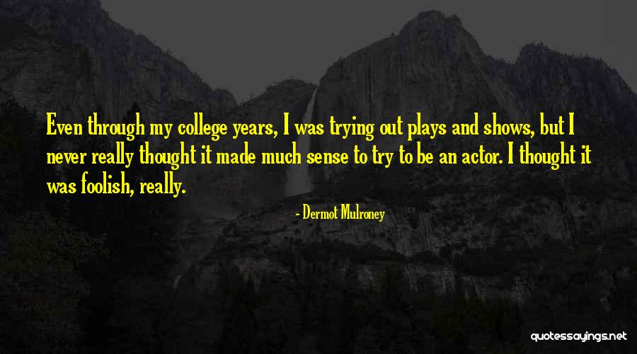 Belarmino De Souza Quotes By Dermot Mulroney Belarmino De Souza Quotes By Dermot Mulroney