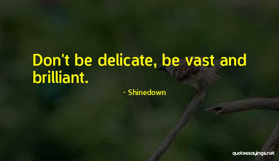 Belaughman Quotes By Shinedown