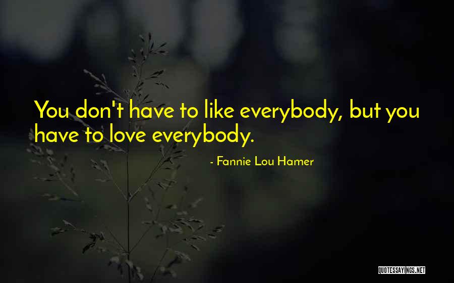 Belay That Order Quotes By Fannie Lou Hamer Belay That Order Quotes By Fannie Lou Hamer