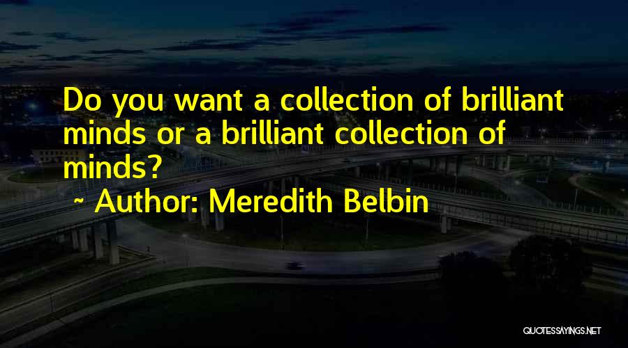 Belbin Team Quotes By Meredith Belbin