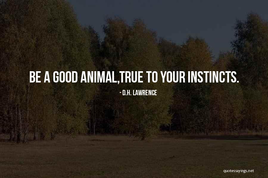 Belcor Quotes By D.H. Lawrence Belcor Quotes By D.H. Lawrence