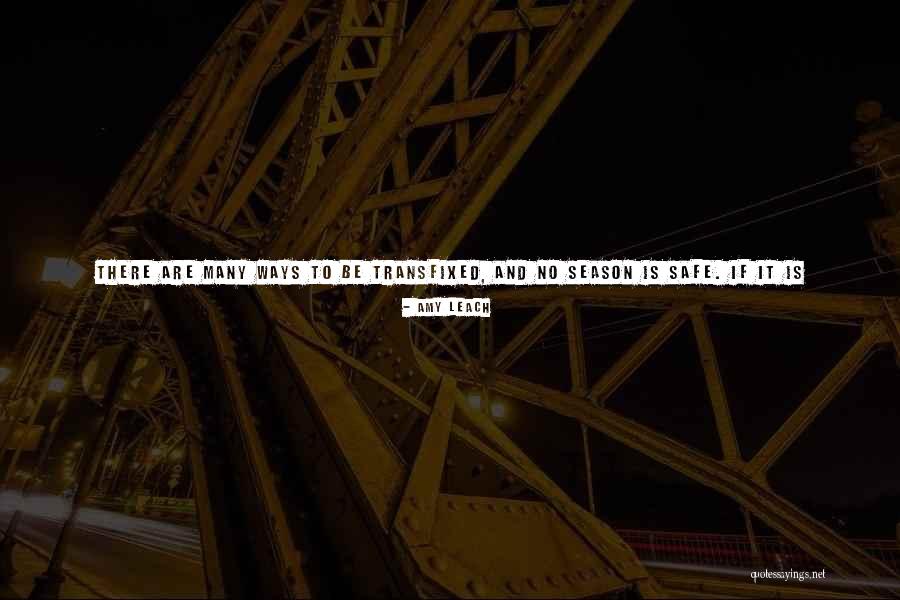 Beleafs Quotes By Amy Leach Beleafs Quotes By Amy Leach