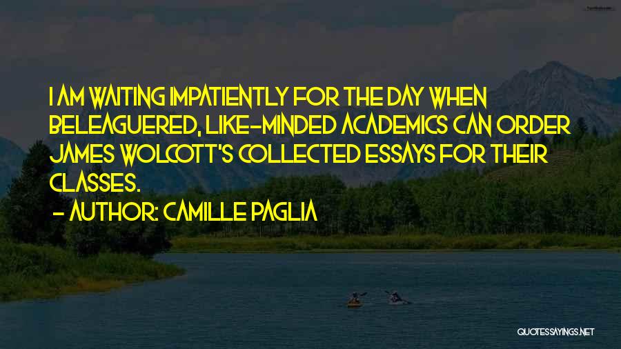 Beleaguered Quotes By Camille Paglia