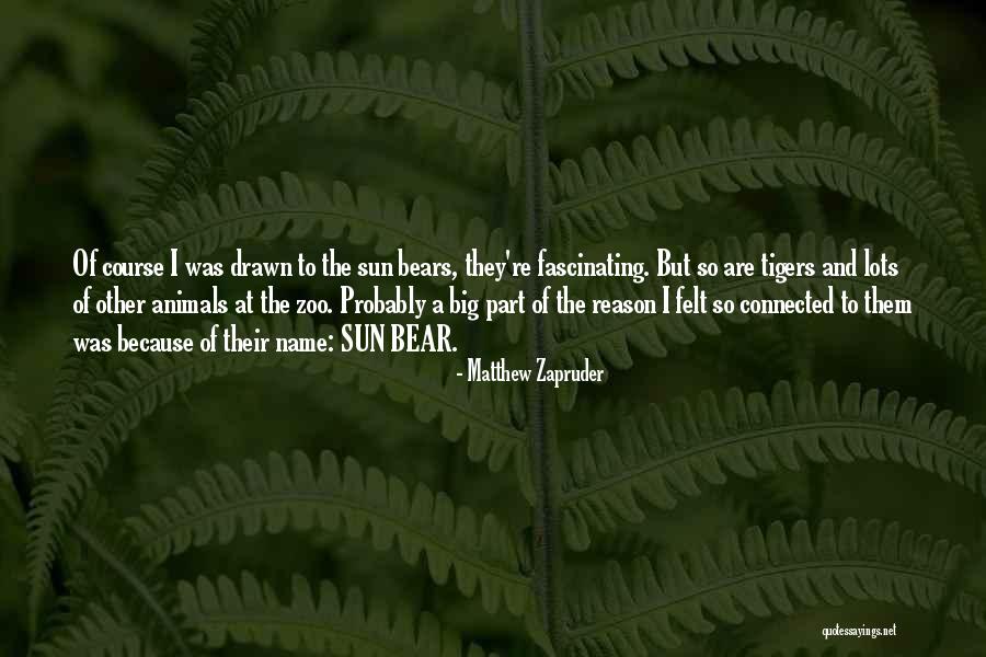 Beleif Quotes By Matthew Zapruder Beleif Quotes By Matthew Zapruder