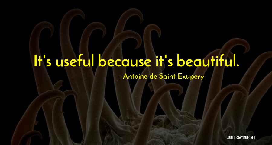 Belgian Chocolate Mimmoths Quotes By Antoine De Saint-Exupery Belgian Chocolate Mimmoths Quotes By Antoine De Saint-Exupery