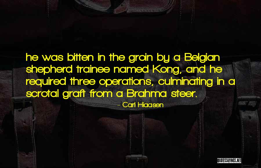 Belgian Quotes By Carl Hiaasen