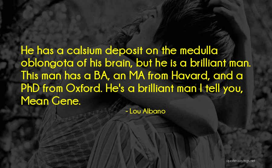 Belgier Pferde Quotes By Lou Albano Belgier Pferde Quotes By Lou Albano