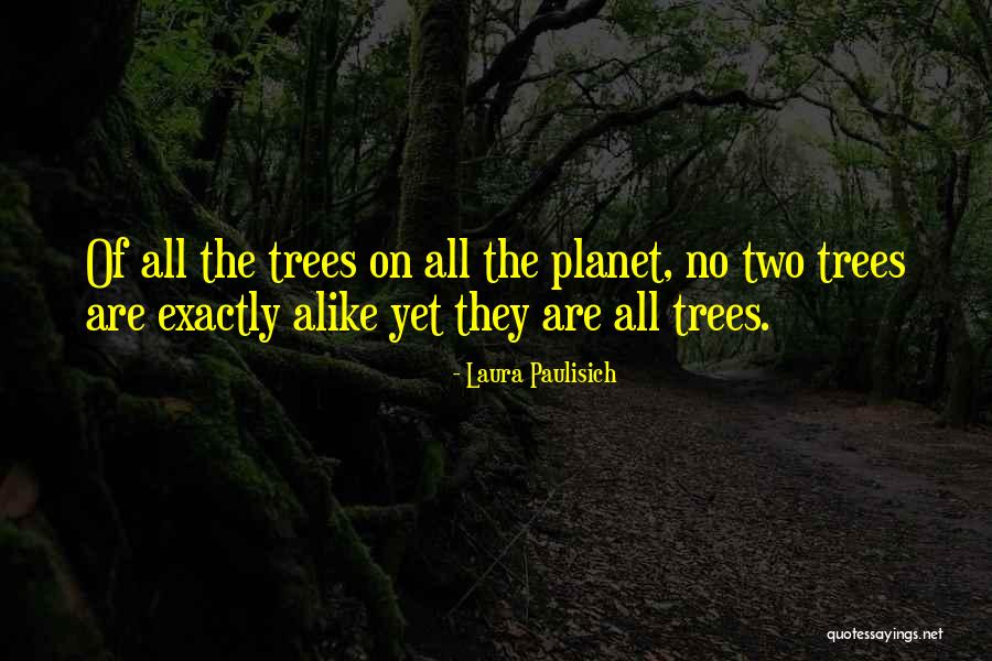 Belhouchet Colonel Quotes By Laura Paulisich Belhouchet Colonel Quotes By Laura Paulisich