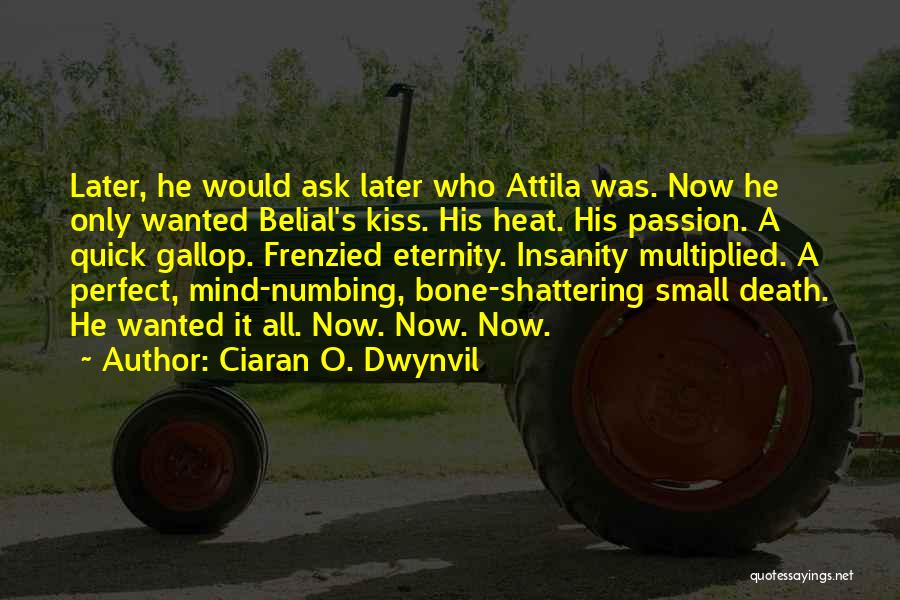 Belial Quotes By Ciaran O. Dwynvil