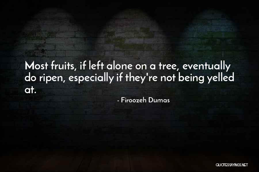 Belida Fish Quotes By Firoozeh Dumas Belida Fish Quotes By Firoozeh Dumas
