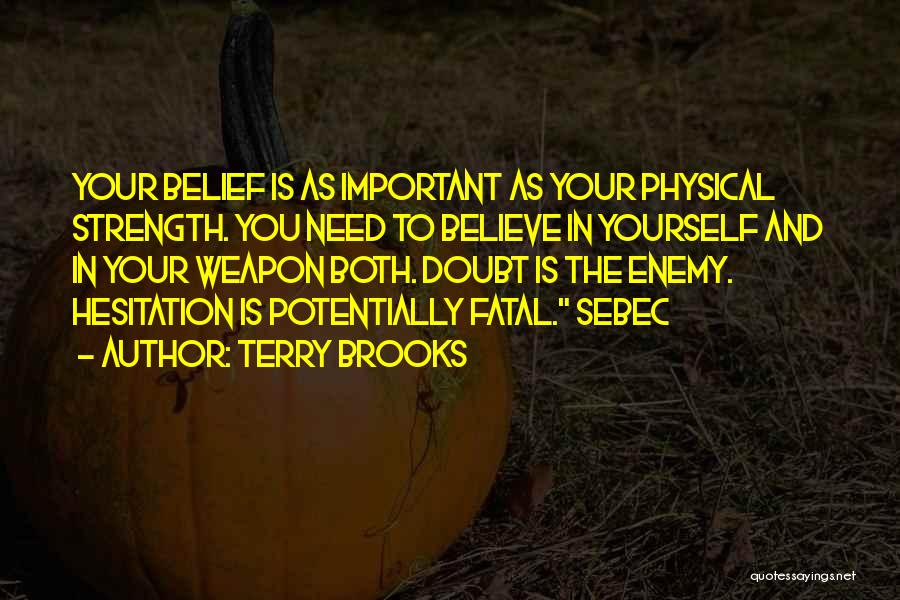 Belief And Doubt Quotes By Terry Brooks