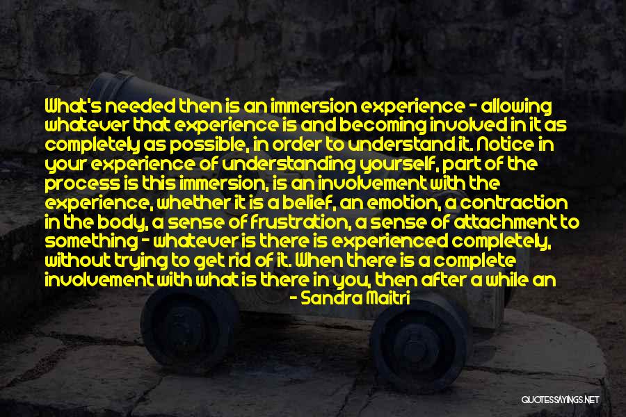 Belief In Yourself Quotes By Sandra Maitri Belief In Yourself Quotes By Sandra Maitri