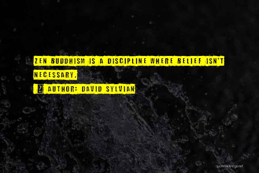 Belief Quotes By David Sylvian