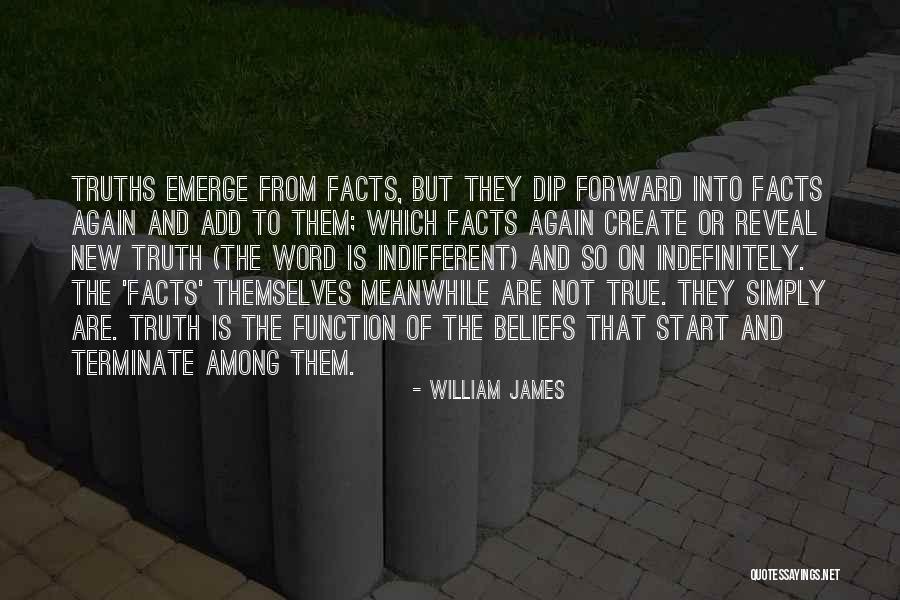 Beliefs And Facts Quotes By William James Beliefs And Facts Quotes By William James