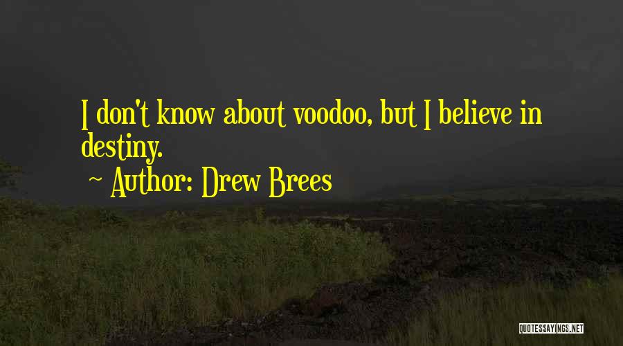 Believe In Destiny Quotes By Drew Brees