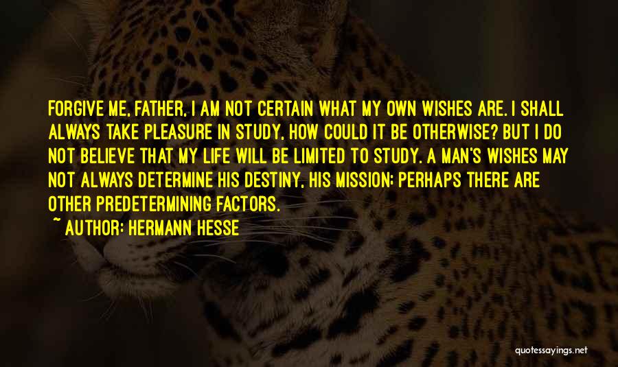 Believe In Destiny Quotes By Hermann Hesse