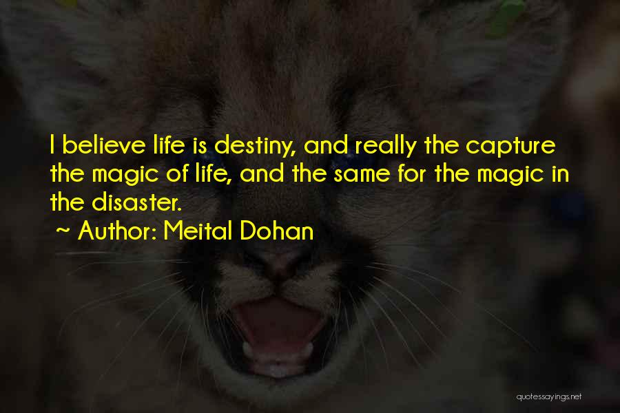 Believe In Destiny Quotes By Meital Dohan