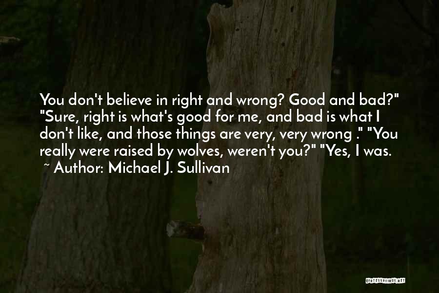 Believe In Good Things Quotes By Michael J. Sullivan