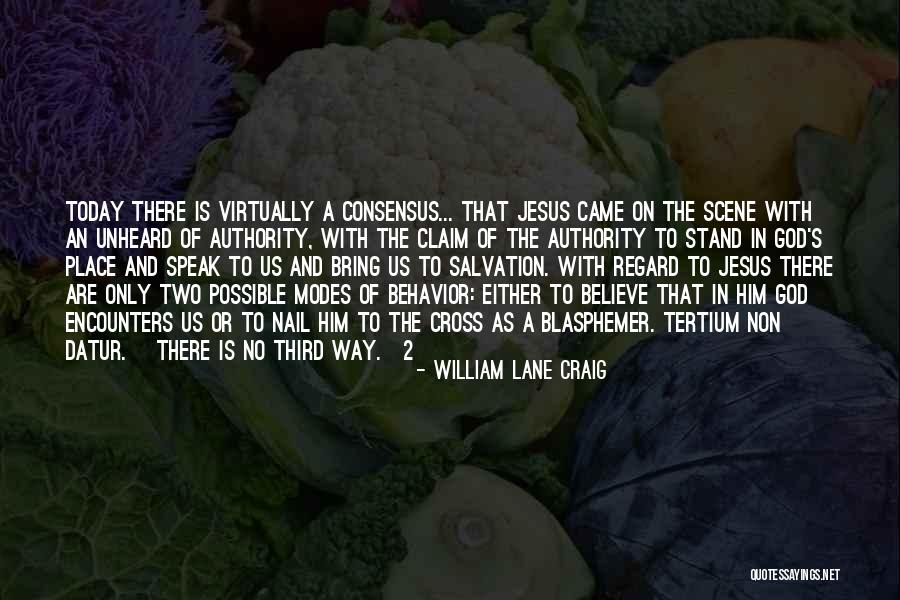 Believe In Him Quotes By William Lane Craig