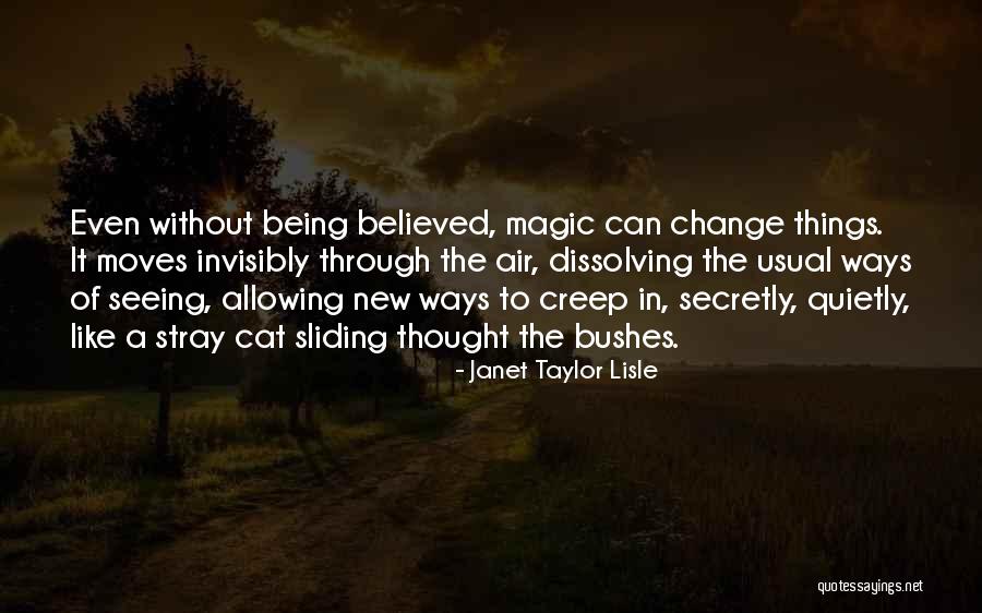 Believe In Magic Quotes By Janet Taylor Lisle Believe In Magic Quotes By Janet Taylor Lisle
