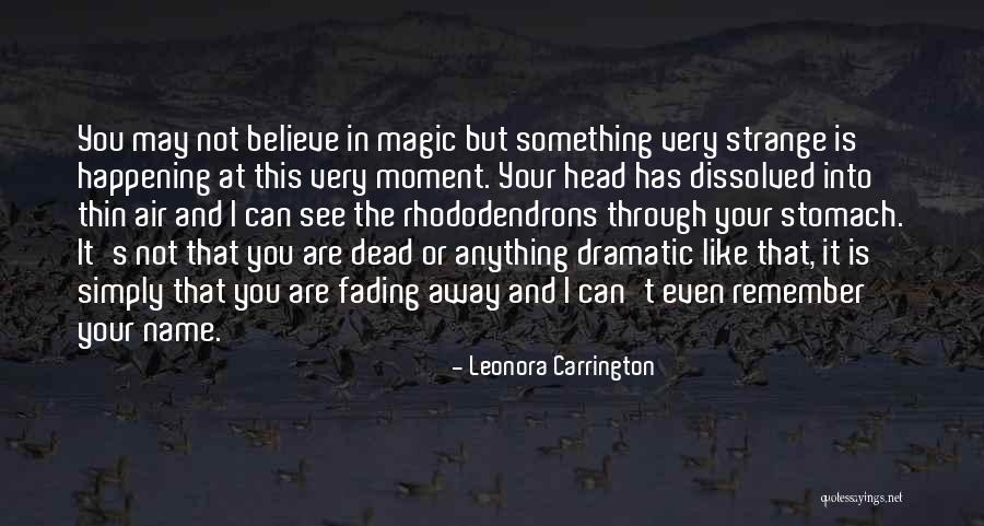 Believe In Magic Quotes By Leonora Carrington Believe In Magic Quotes By Leonora Carrington