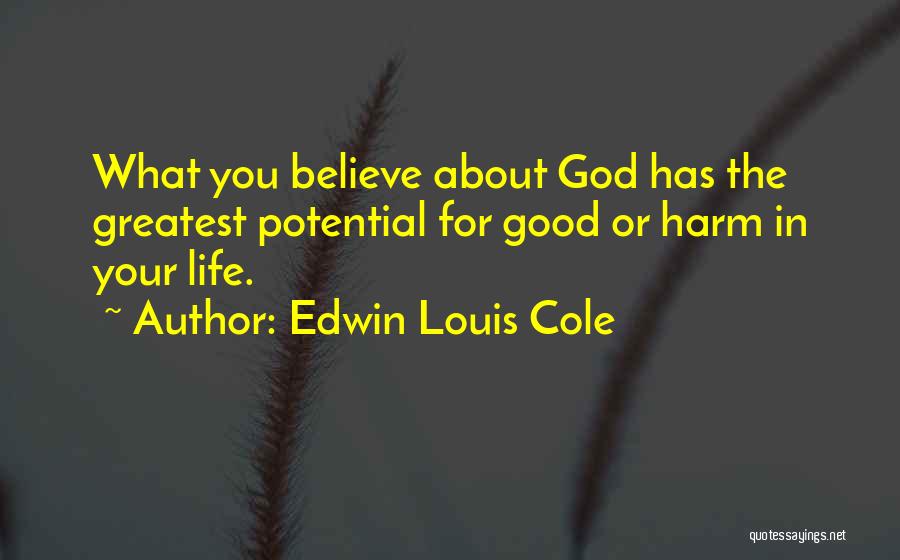 Believe In The Good Quotes By Edwin Louis Cole