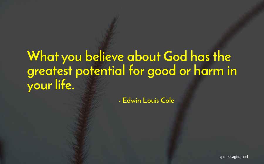 Believe In The Good Quotes By Edwin Louis Cole