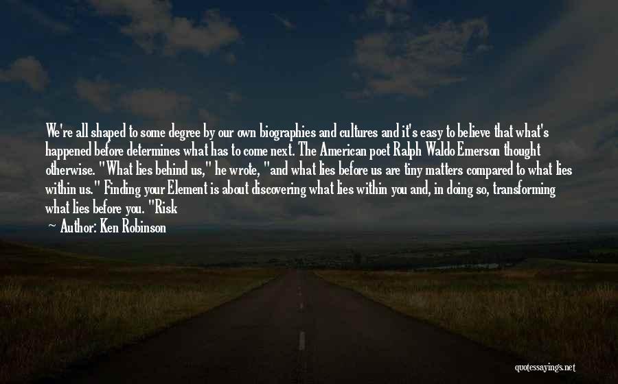 Believe In What You Are Doing Quotes By Ken Robinson