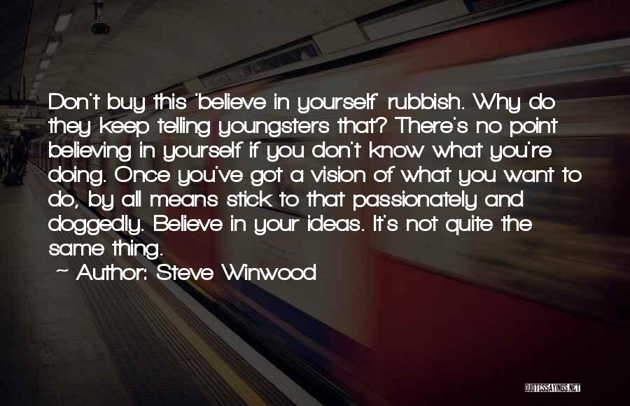 Believe In You Quotes By Steve Winwood