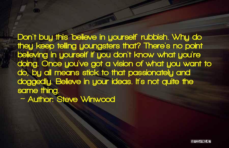 Believe In Your Yourself Quotes By Steve Winwood
