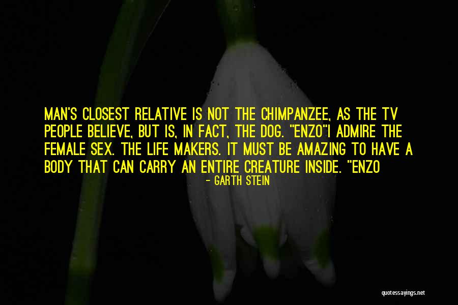 Believe Life Quotes By Garth Stein Believe Life Quotes By Garth Stein