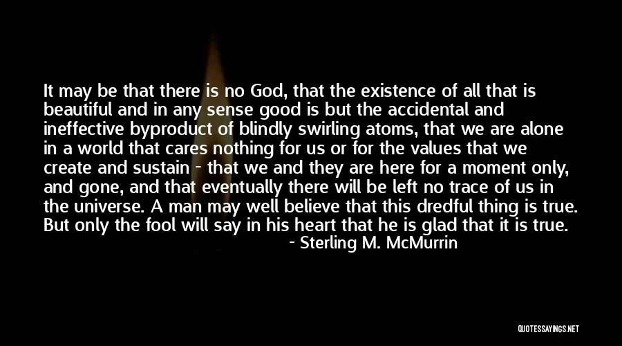 Believe There Is Good In The World Quotes By Sterling M. McMurrin