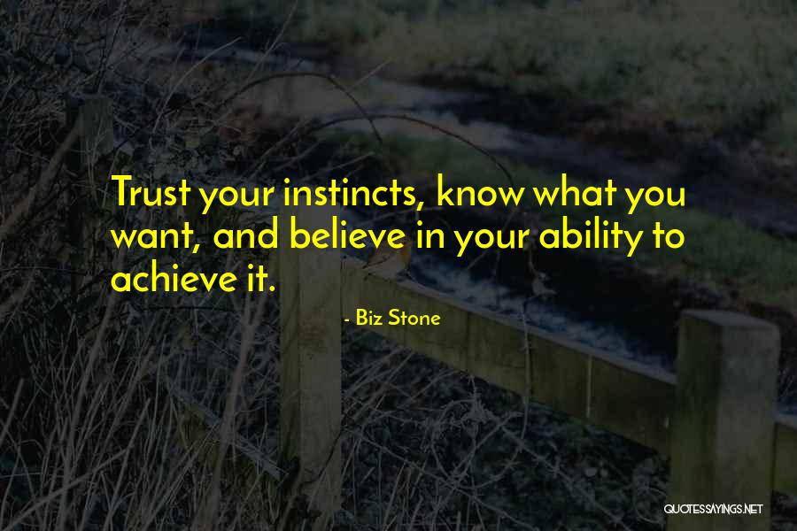 Believe To Achieve Quotes By Biz Stone Believe To Achieve Quotes By Biz Stone