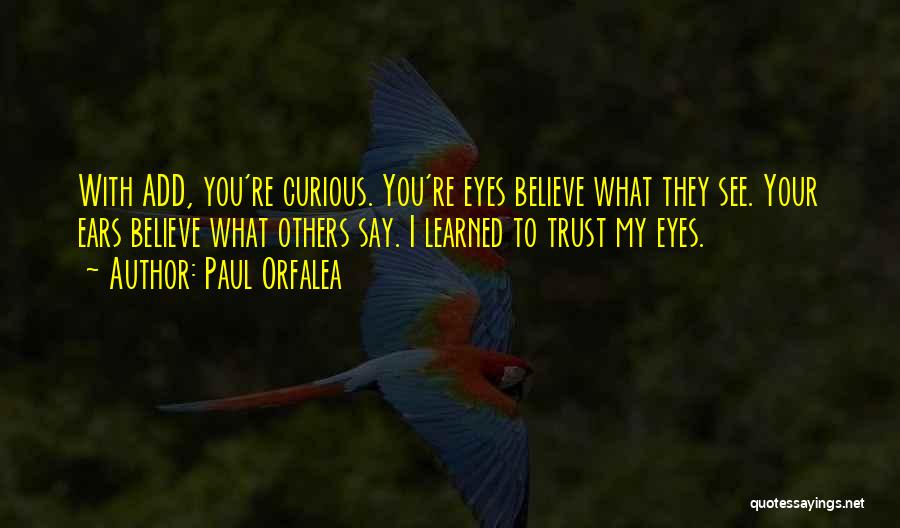 Believe What You See Quotes By Paul Orfalea